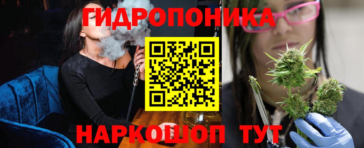 Бошки марихуана VHQ Владимир
